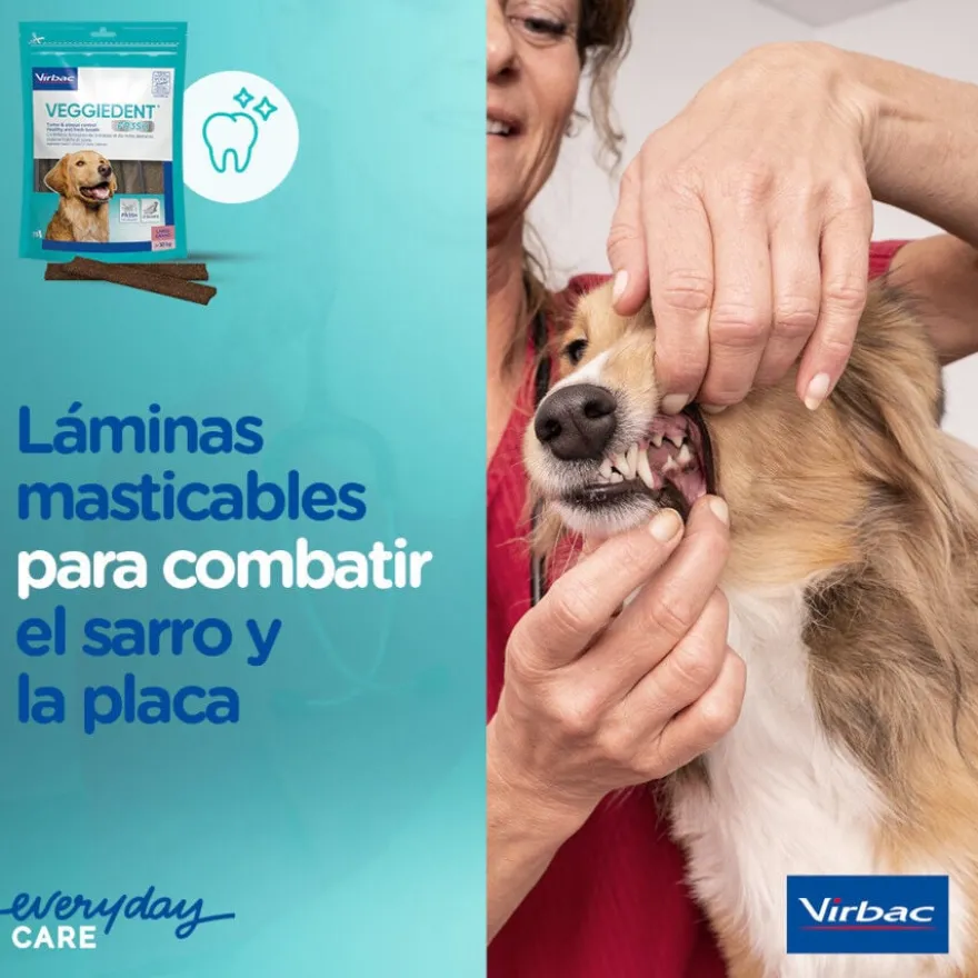 Virbac Snacks Dentários VeggieDent Fresh para cães mini