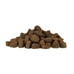 Weego Grain Free Mini Adult Ocean Ração de salmão para cães
