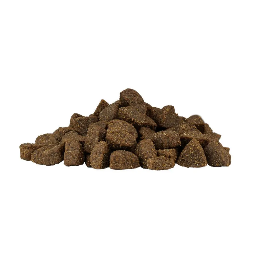 Weego Grain Free Mini Adult Ocean Ração de salmão para cães