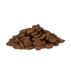 Weego Low Grain Ração de salmão e arroz para cães