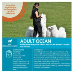 Wellness Core Adult Medium/Large Ocean Salmão e Atum ração para cães