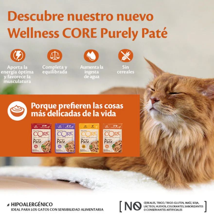 Wellness Core Adult Purely Frango e Vitela em Patê saqueta para gatos