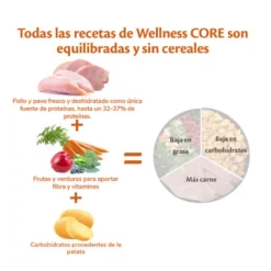 Wellness Core Adult Small Healthy Peru ração para cães