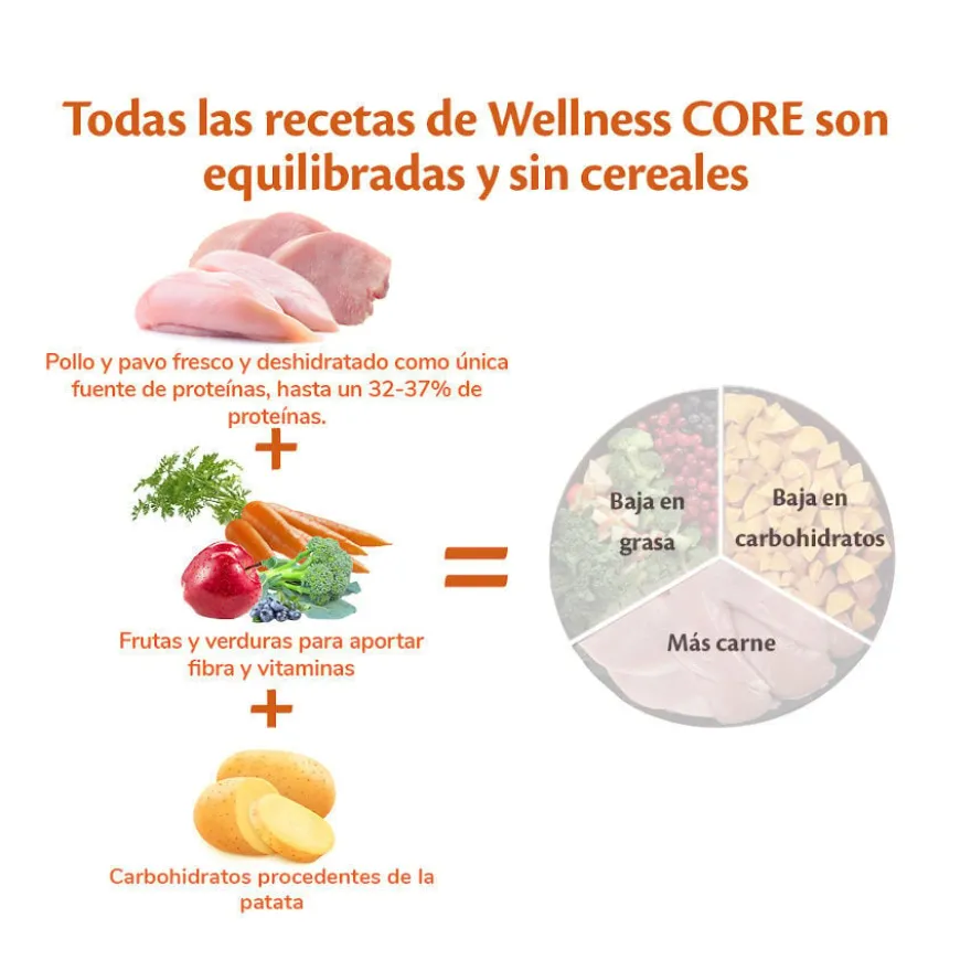 Wellness Core Adult Small Healthy Peru ração para cães