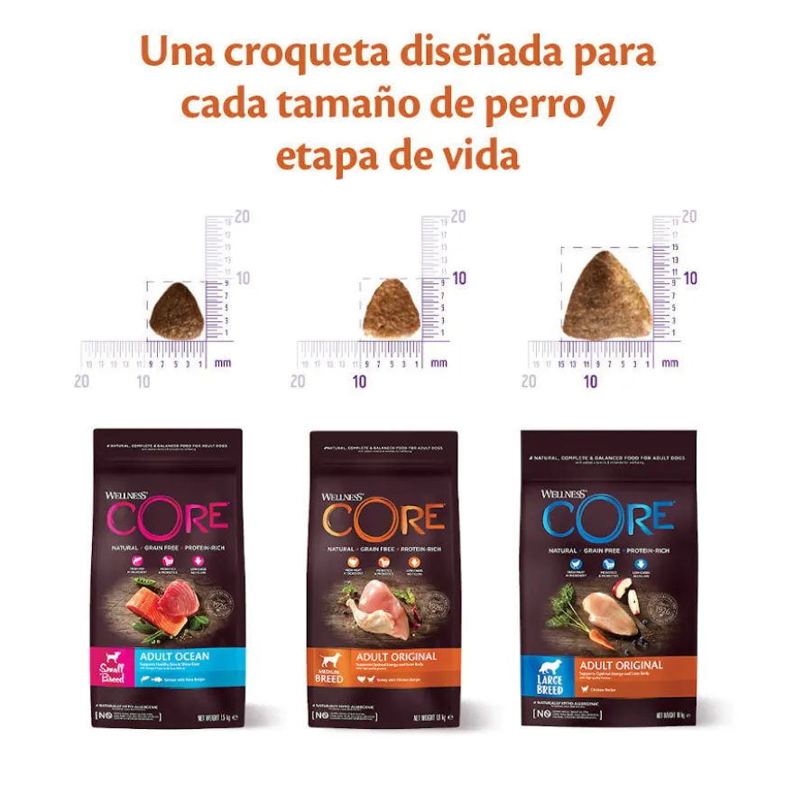 Wellness Core Adult Small Healthy Peru ração para cães