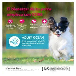 Wellness Core Adult Small Ocean Salmão e Atum ração para cães