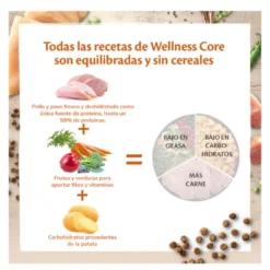 Wellness Core Adult Sterilised Frango e Peru ração para gatos