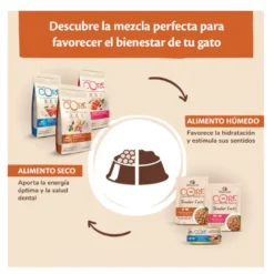 Wellness Core Adult Sterilised Frango e Peru ração para gatos
