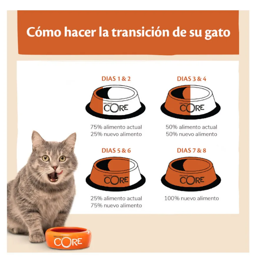 Wellness Core Adult Sterilised Ocean Salmão ração para gatos
