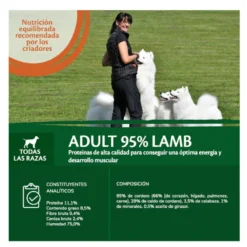 Wellness Core Cordeiro com Abóbora lata para cães