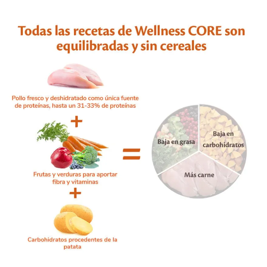 Wellness Core Puppy Large Original Ração de frango para cachorros