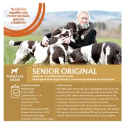 Wellness Core Senior Frango e Peru ração para cães