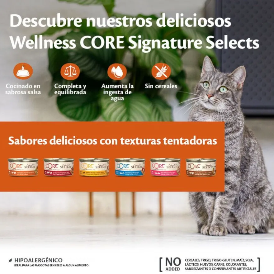 Wellness Core Shredded frango e peru lata para gatos