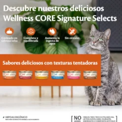 Wellness Core Shredded frango lata para gatos