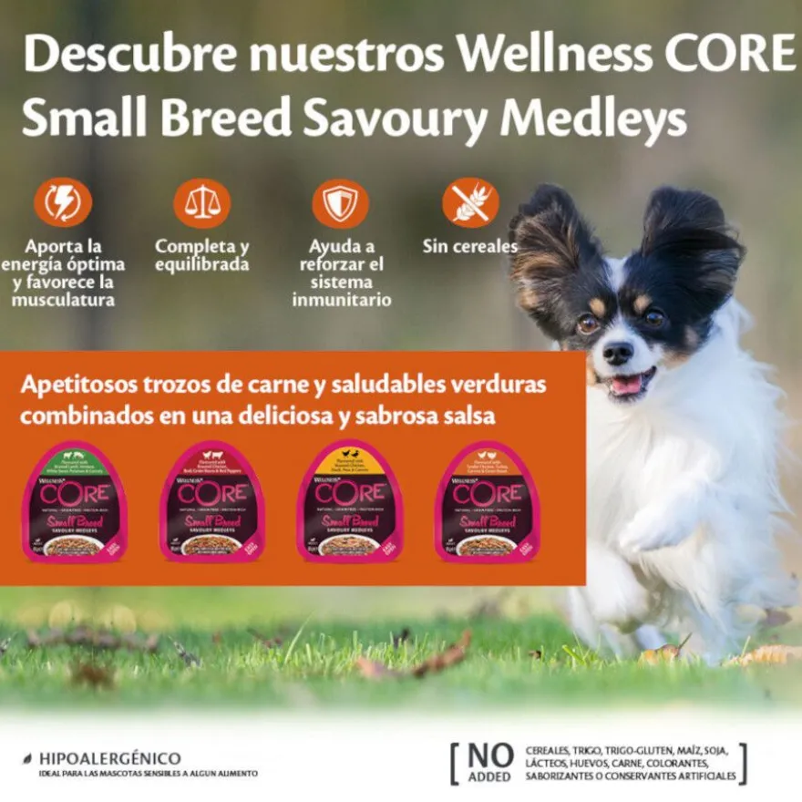 Wellness Core Small Breed Grain Free Frango e Terneira terrina para cães