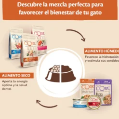 Wellness Core Tender Cuts atum em molho saquetas para gatos