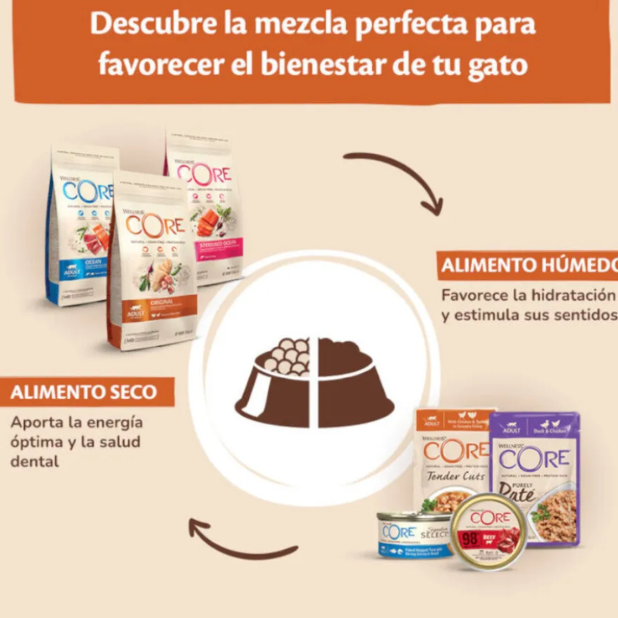 Wellness Core Tender Cuts atum em molho saquetas para gatos