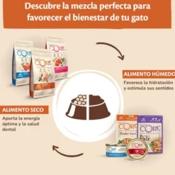 Wellness Core Tender Cuts frango e peru em molho saquetas para gatos