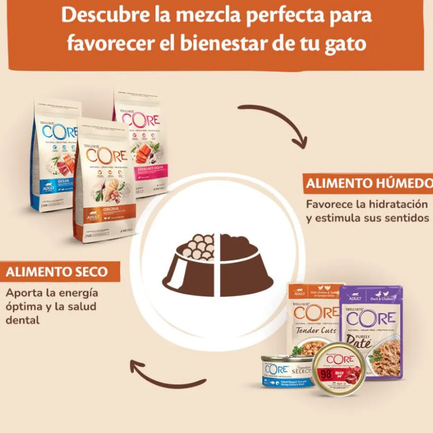 Wellness Core Tender Cuts frango e peru em molho saquetas para gatos