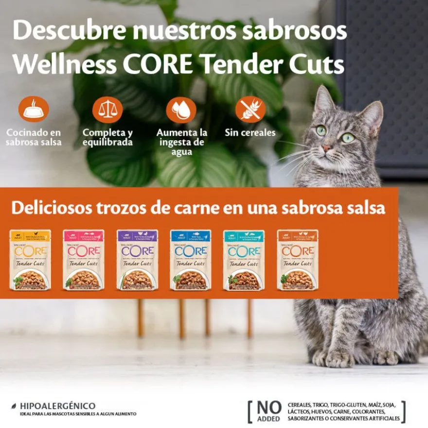 Wellness Core Tender Cuts frango saquetas para gatos