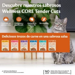 Wellness Core Tender Cuts frango saquetas para gatos