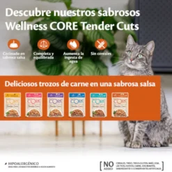 Wellness Core Tender Cuts salmão e atum em molho saquetas para gatos