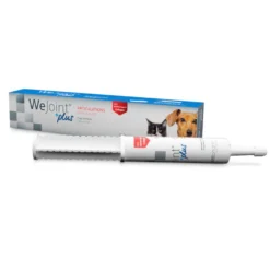 Wepharm Wejoint Plus Pasta Suplemento para cães e gatos
