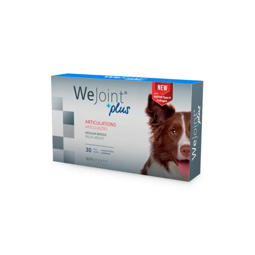 Wepharm Wejoint Plus Raças Médias Suplemento para cães