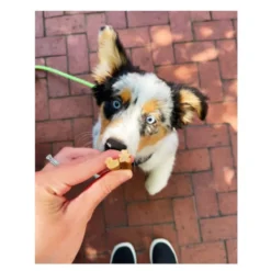 Whimzees Puppy M/L Snacks Dentários Naturais para cães