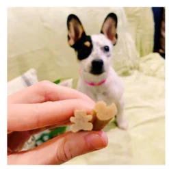 Whimzees Puppy XS/S Snacks Dentários Naturais para cães