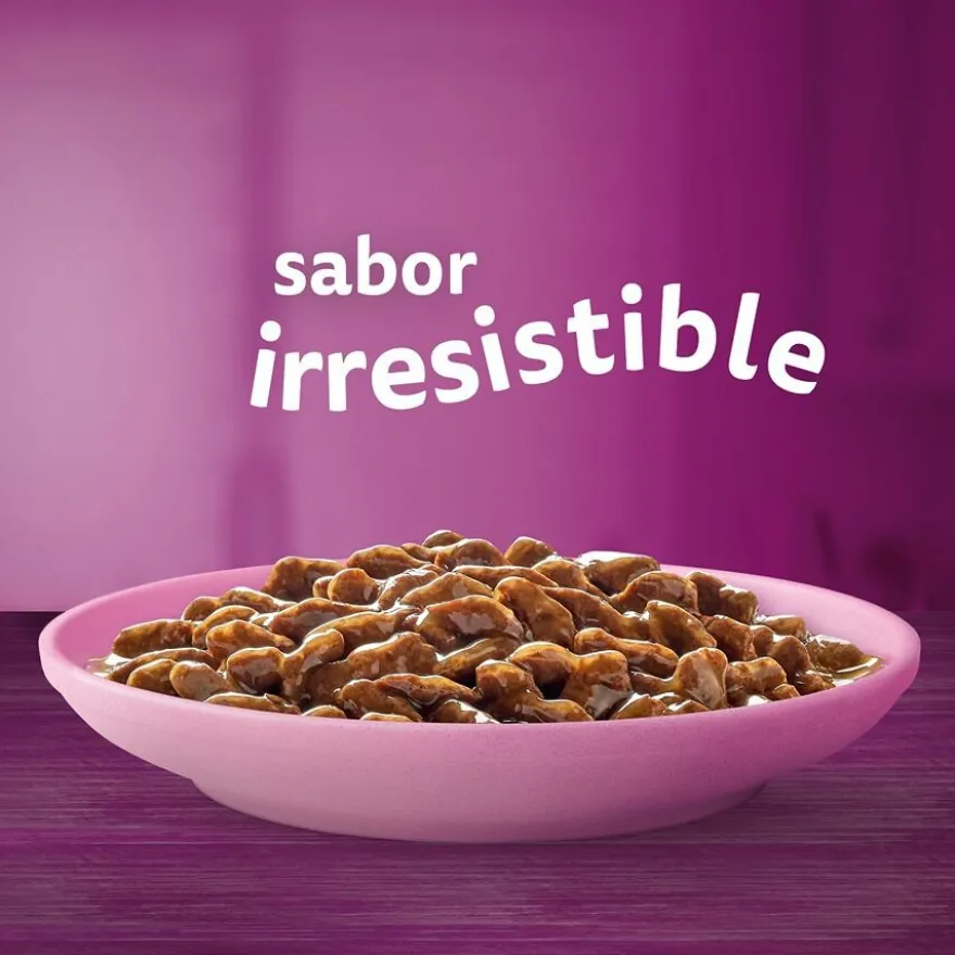 Whiskas Carnes em Molho em Saqueta para Gatinhos