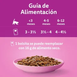 Whiskas Carnes em Molho em Saqueta para Gatinhos
