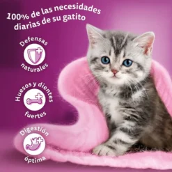 Whiskas Carnes em Molho em Saqueta para Gatinhos