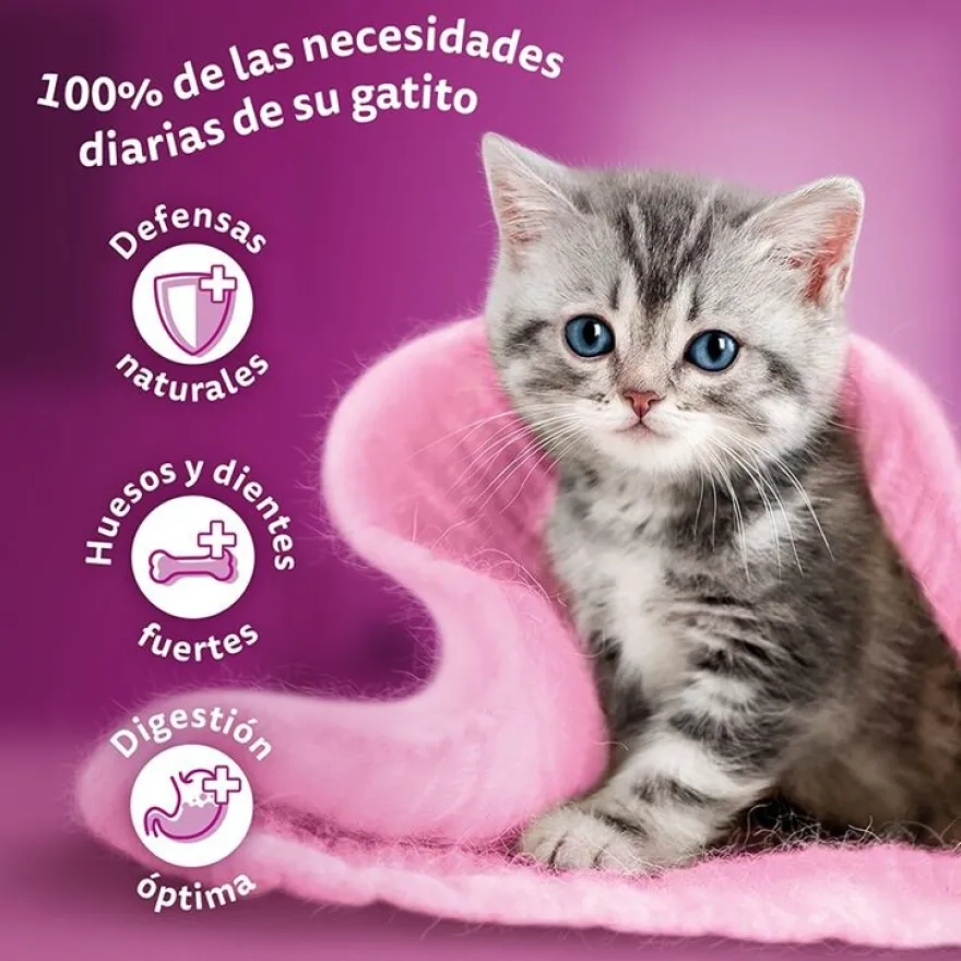 Whiskas Carnes em Molho em Saqueta para Gatinhos