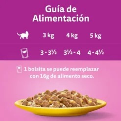 Whiskas Sabor Aves Geleia em Saqueta para Gatos - Multipack
