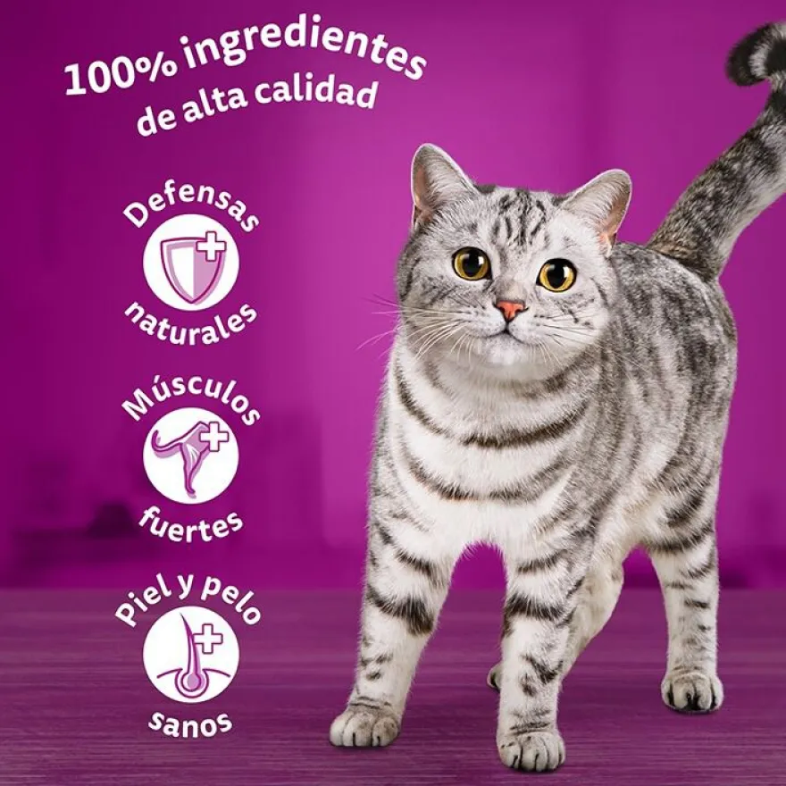 Whiskas Seleção Clássica Saquetas em Molho para Gatos