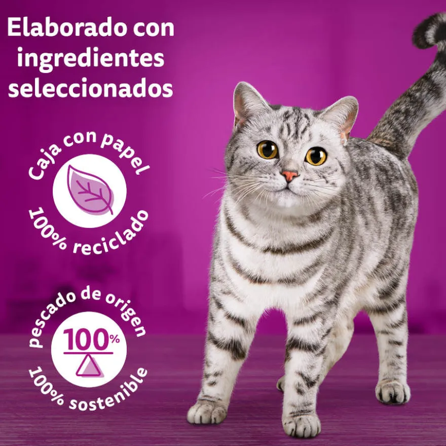 Whiskas Tasty Mix Country Patê em molho saquetas para gatos - Pack 12