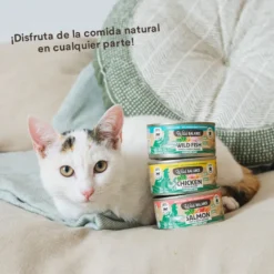 Wild Balance BARF Alimento húmido de frango e legumes em lata para gatos