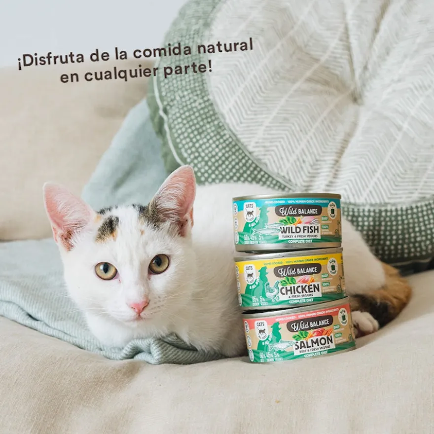 Wild Balance BARF Alimento húmido de frango e legumes em lata para gatos