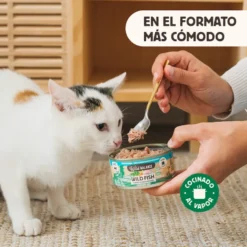 Wild Balance BARF Alimento húmido de peixe e peru em lata para gatos