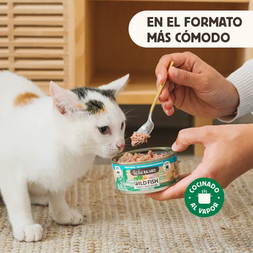 Wild Balance BARF Alimento húmido de peixe e peru em lata para gatos