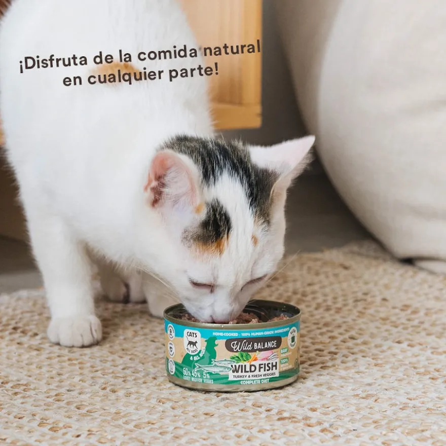 Wild Balance BARF Alimento húmido de peixe e peru em lata para gatos
