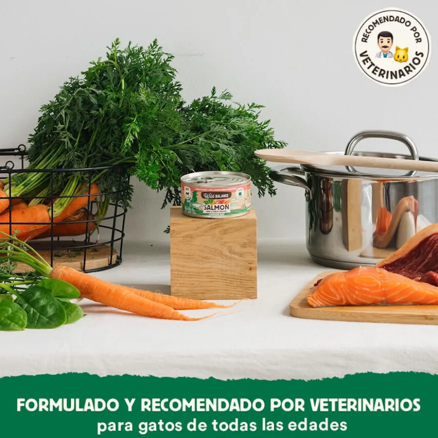 Wild Balance BARF Alimento húmido de salmão e vitela em lata para gatos