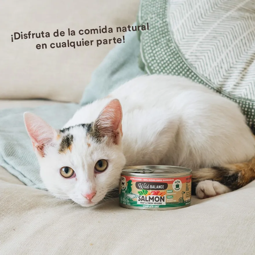 Wild Balance BARF Alimento húmido de salmão e vitela em lata para gatos