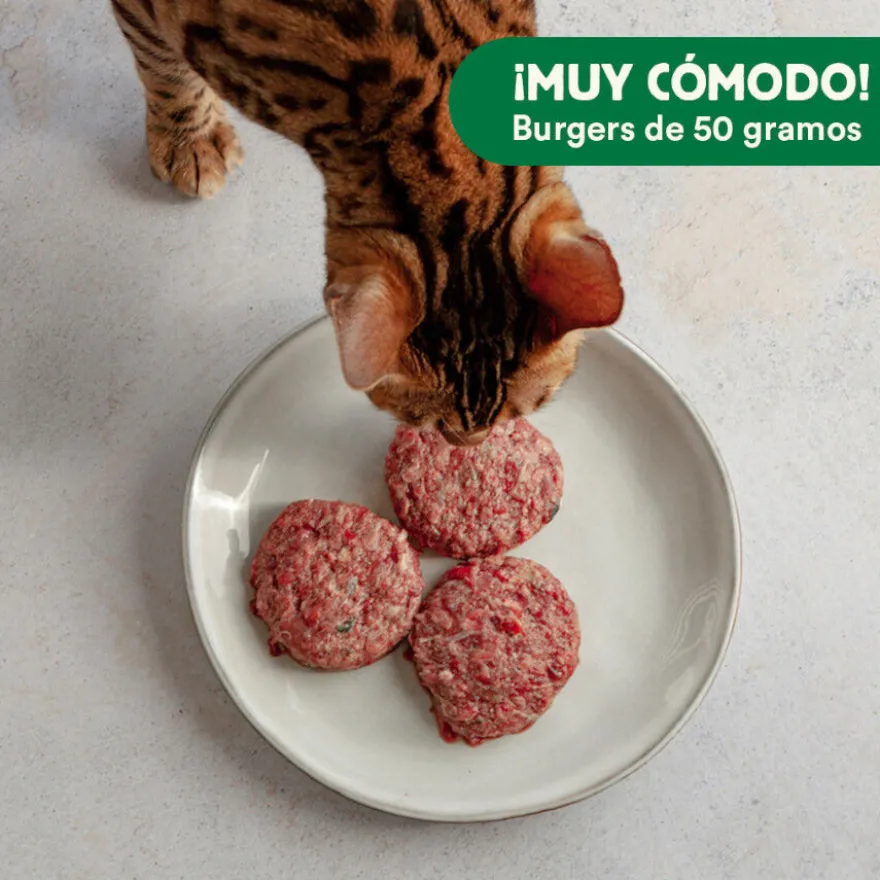 Wild Balance BARF Frango com Legumes Frescos alimentação natural congelada para gatos