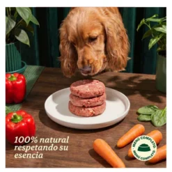 Wild Balance BARF Salmão com Legumes Frescos alimentação natural congelada para cães
