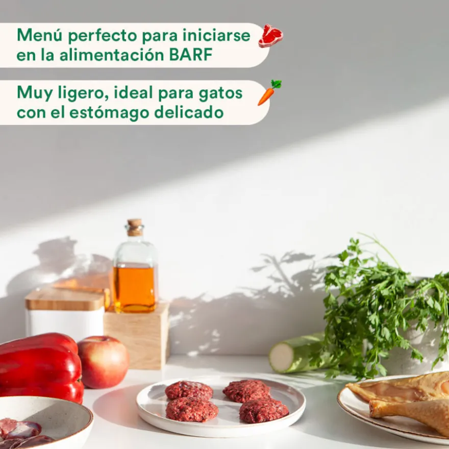 Wild Balance BARF Salmão Peru e Legumes alimentação natural congelada para gatos