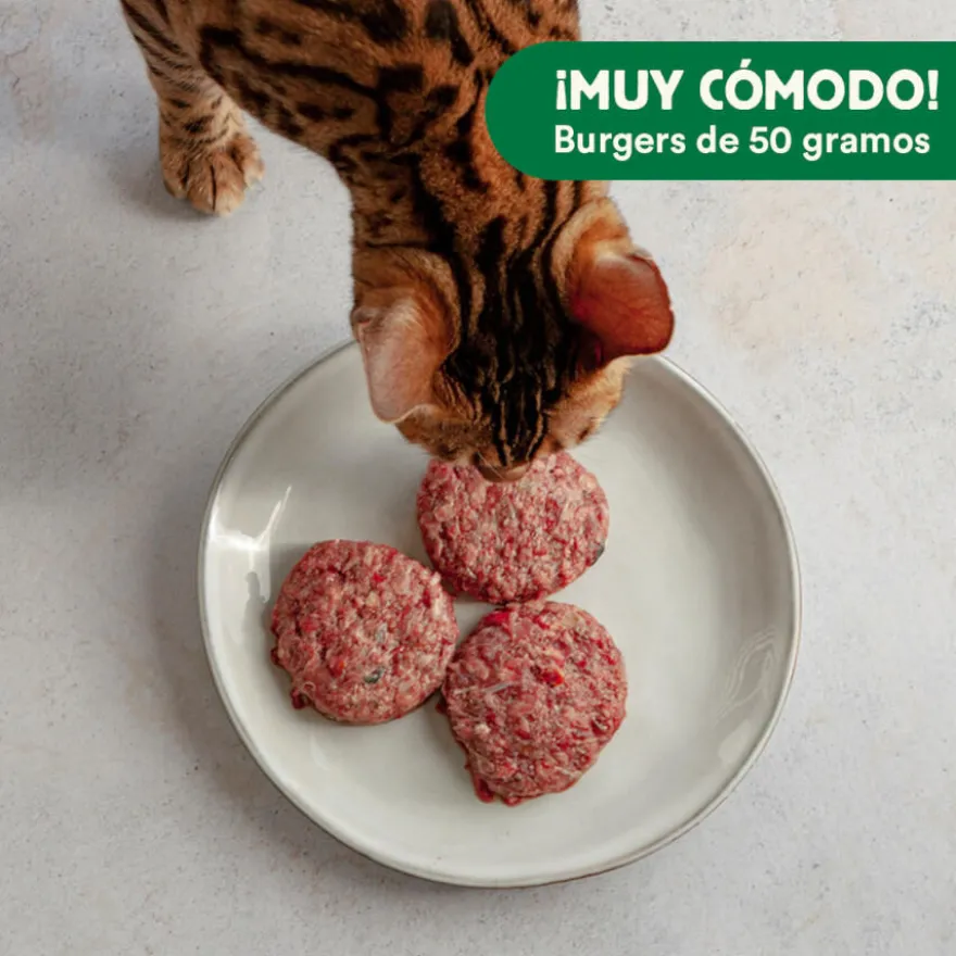 Wild Balance BARF Salmão Peru e Legumes alimentação natural congelada para gatos