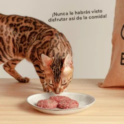 Wild Balance BARF Salmão Peru e Legumes alimentação natural congelada para gatos