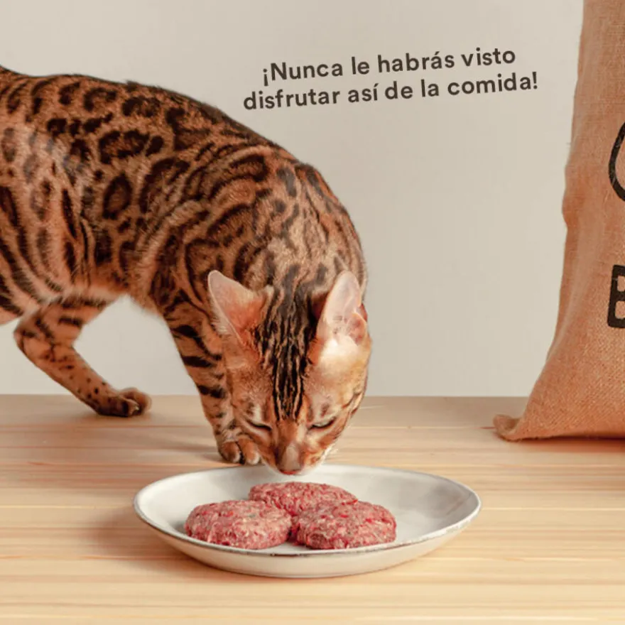 Wild Balance BARF Salmão Peru e Legumes alimentação natural congelada para gatos